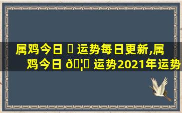 属鸡今日 ☘ 运势每日更新,属鸡今日 🦁 运势2021年运势